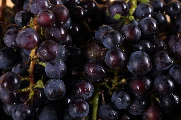 Raisin Noir Variété Vin Pour Les Vins Rouges Macro — Photo