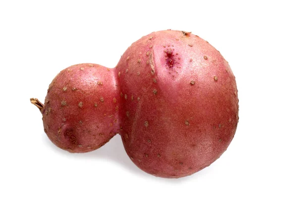 Funny Ugly Potato Isolated White — Stock Photo, Image