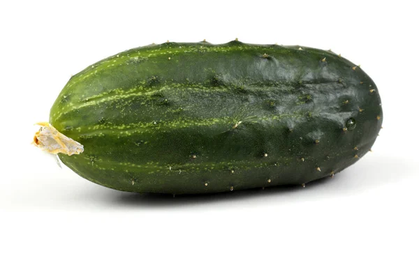 Cucumbers White Background — Stock Photo, Image