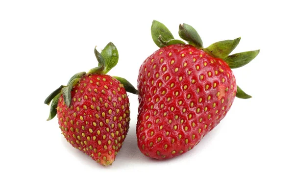 成熟的草莓 在白色的背景上被隔离 — 图库照片