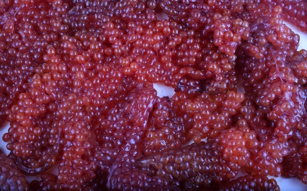 Fondo Caviar Rojo Sin Cocer —  Fotos de Stock