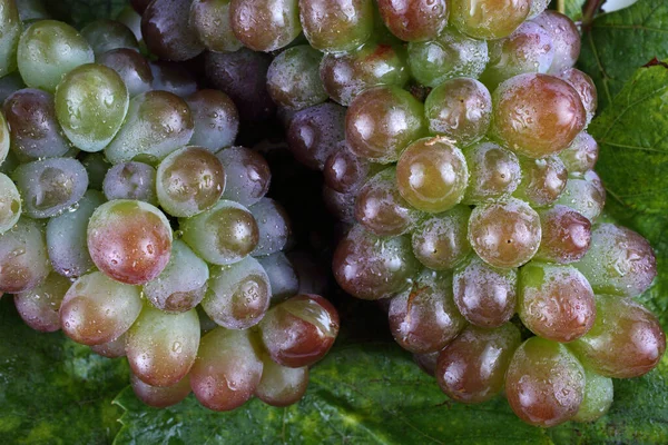 Uvas Frescas Folhas Bordo — Fotografia de Stock