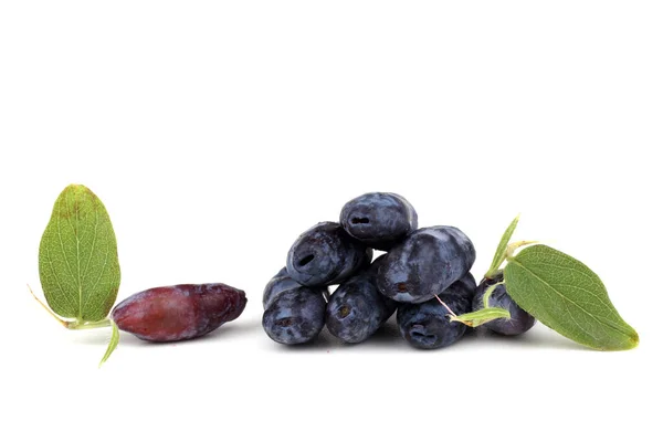 Honeyberry Isolato Bianco — Foto Stock