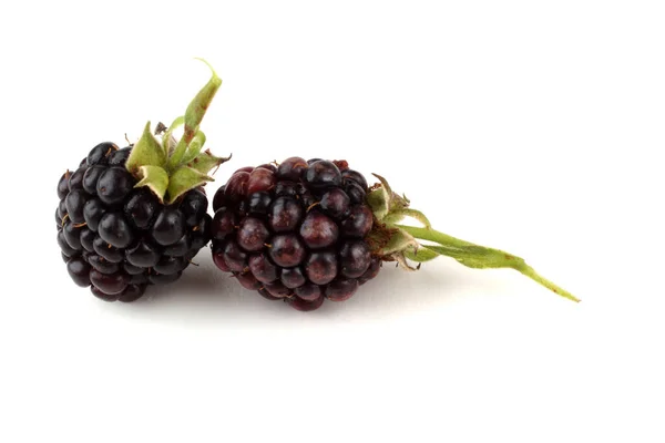 Close Fresh Blackberries Harvest — Stock Photo, Image