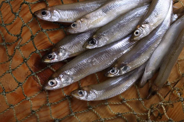 Gerookte Vis Het Net Pacifische Smelt — Stockfoto