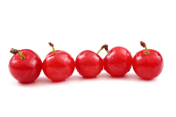 Nanking Cherry Dálnovýchodní Pochoutka — Stock fotografie