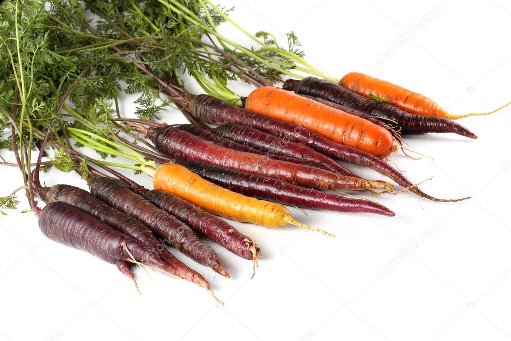 Orange and violet carrots and leaves