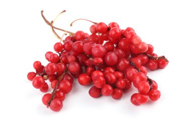 Schisandra Chinensis beyazı izole etti