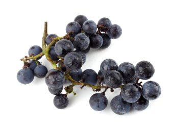 Beyaz şarap izole edilmiş.