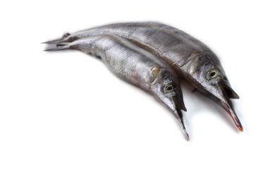 Garfish beyazda izole edilmiş.