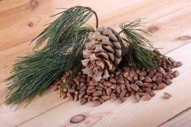 Sedir çam fıstığı masada.