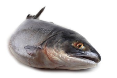 Somon beyazı izole eder.