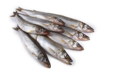 Gökkuşağı eritilmiş (Osmerus mordax) beyaz üzerine izole edilmiş