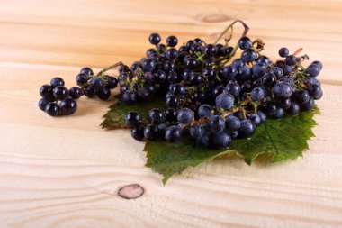 Masada siyah şarap üzümü
