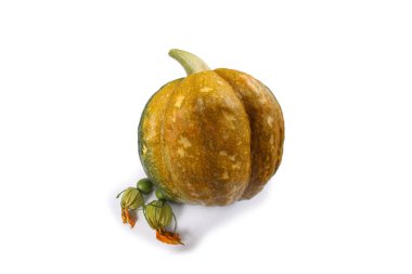 Beyaz balkabağı ve çiçekler