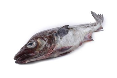 Beyaz arkaplanda Pollock