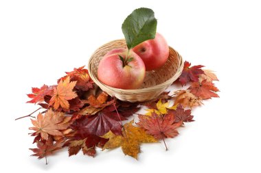 Sonbahar yapraklarındaki elmalar