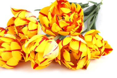 İnanılmaz çiçeklere yakın.