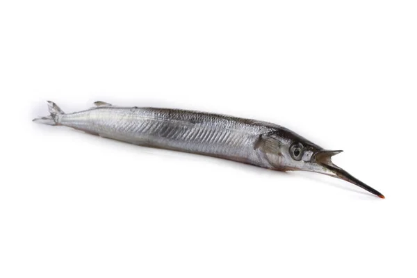 Garfish Aislado Blanco —  Fotos de Stock