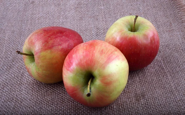 Nahaufnahme Von Frischen Reifen Äpfeln — Stockfoto