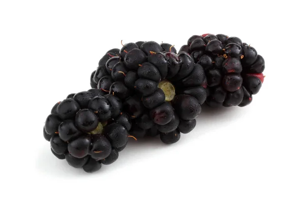 成熟的黑莓 白色背景 — 图库照片