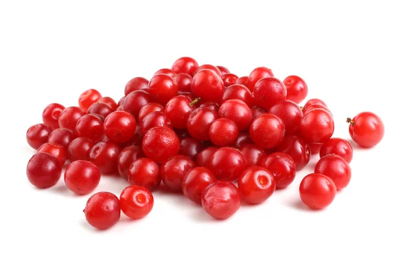 Nanking Cherry Diisolasi Atas Putih — Stok Foto