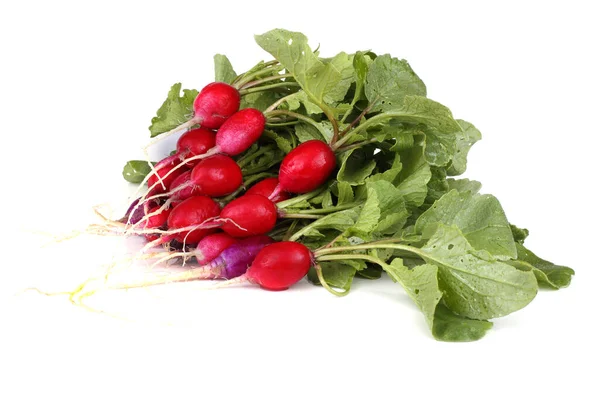 Fresh Radish Isolated White Background — Stock Photo, Image