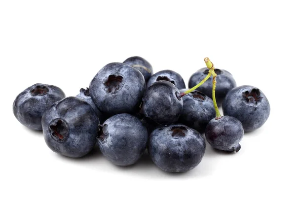 Close Fresh Blueberry Harvest Isolated White — Stock Photo, Image