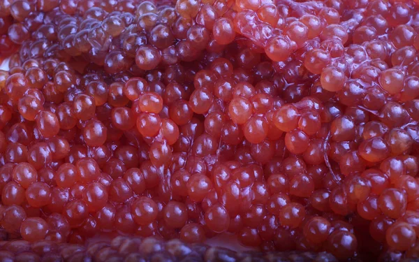 Uncooked Red Caviar Background — Stock Photo, Image