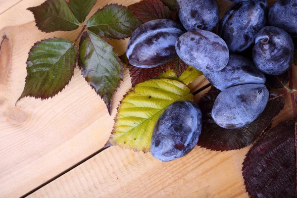 Ripe Fresh Plums Close View — Stock Photo, Image