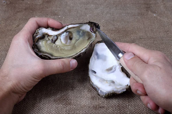 Hands Knife Opening Oyster — Stock Photo, Image