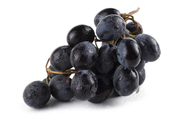 Black Grape Isolated White — Stock Photo, Image