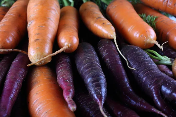 Zanahorias Fondo Inusual Zanahorias Violeta —  Fotos de Stock