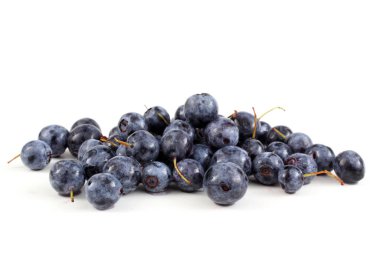 Taze yaban mersini hasadını beyaza yakın tut.