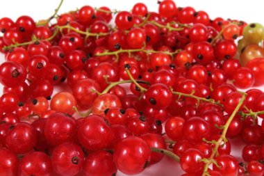 Beyaz arkaplanda kırmızı frenk üzümü