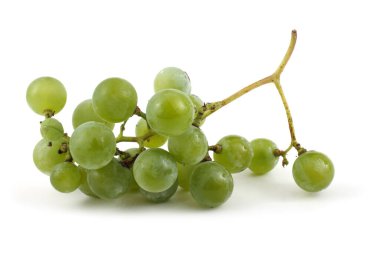 Yeşil şarap üzümü (beyaz şarap için)