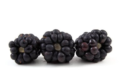 Beyaz arka planda olgun böğürtlenler