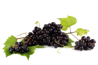 Beyaz arka planda izole edilmiş taze üzümler.