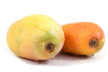 Olgun Mango meyvesi beyaz arkaplanda izole