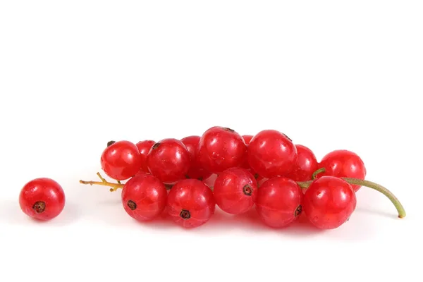 Rote Johannisbeeren Auf Weißem Hintergrund — Stockfoto