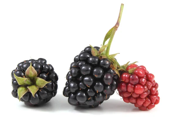 Fresh Blackberry Harvest Close — Stock Photo, Image