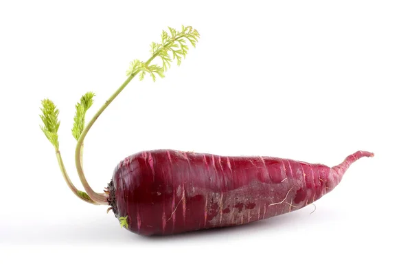 Rote Karotte Mit Blatt — Stockfoto