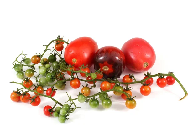 Tasty Ripe Tomatoes White Background — Stock Photo, Image