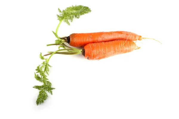 Закрыть Спелую Свежую Морковь — стоковое фото