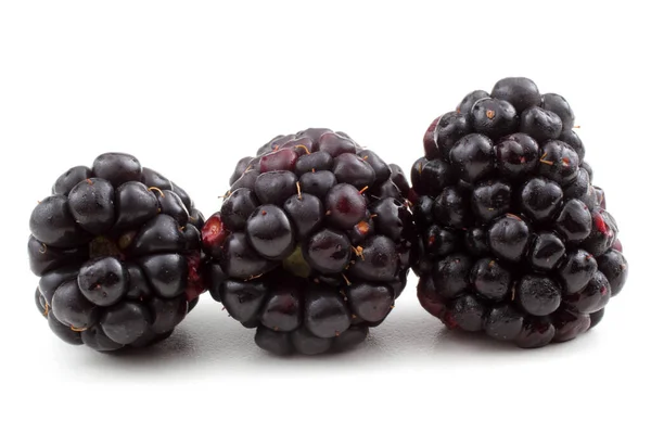 Ripe Blackberries White Background — Stock Photo, Image