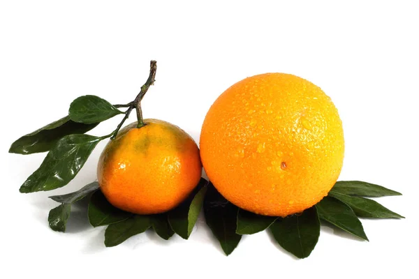 Mandarina Naranja Aislada Sobre Blanco — Foto de Stock