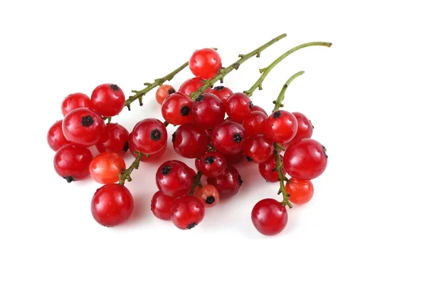 Rote Johannisbeeren Isoliert Auf Weißem Hintergrund — Stockfoto