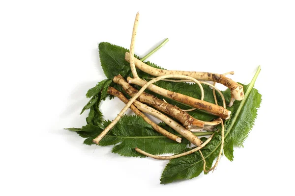 Pepparrot Gröna Blad Isolerad Vit Bakgrund — Stockfoto