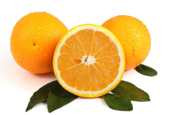 Orangen Und Blätter Isoliert Auf Weißem Hintergrund — Stockfoto