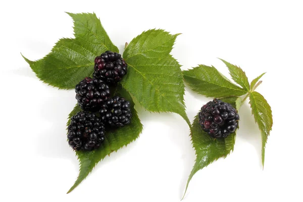 Rijpe Bramen Met Groene Bladeren Witte Achtergrond — Stockfoto